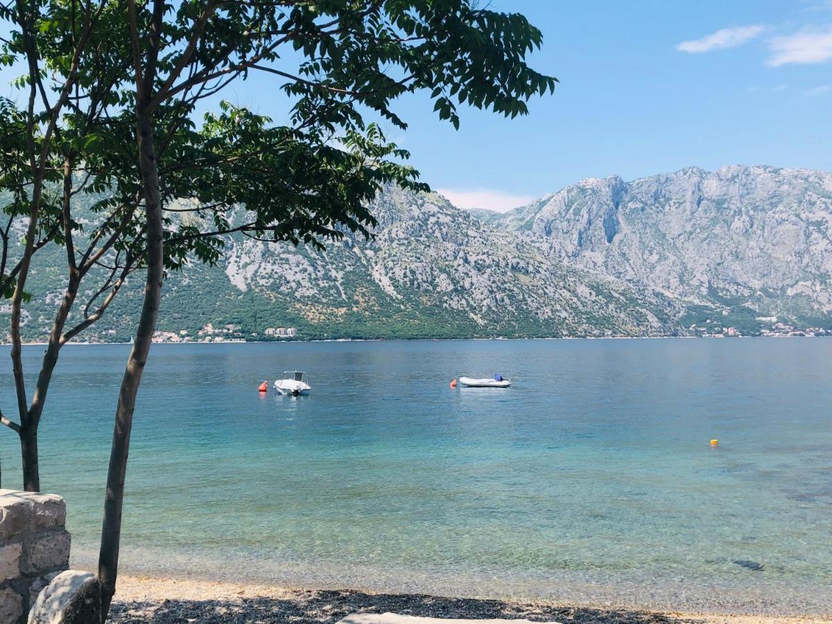 Villa MilaMi Kotor Exteriér fotografie